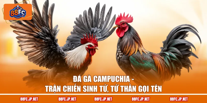 Đá Gà Campuchia - Trận Chiến Sinh Tử, Tử Thần Gọi Tên