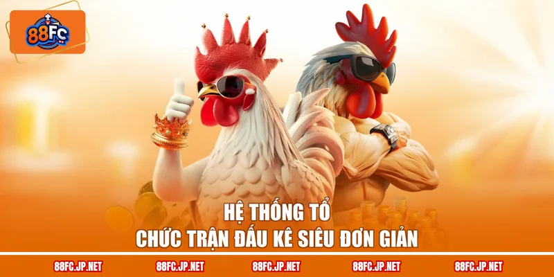 Hệ thống tổ chức trận đấu kê siêu đơn giản